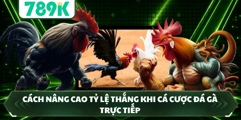 Cách nâng cao tỷ lệ thắng khi cá cược đá gà trực tiếp 